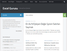 Tablet Screenshot of excelgurusu.com